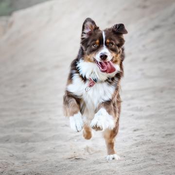 Josephine Menge H7vbjrbciem Unsplash Josephine Menge H7vbjrbciem Unsplash